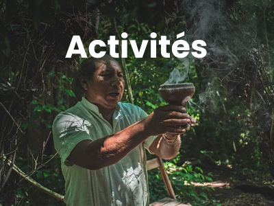 Activités et excursions