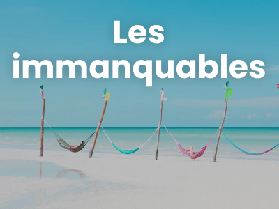 Que voir que faire ?