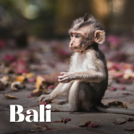 Bali