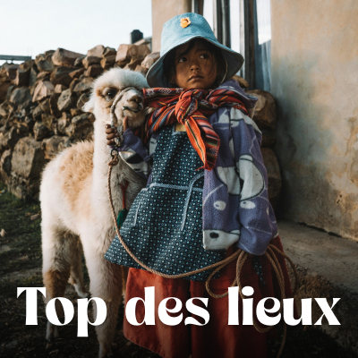 Que voir que faire ?