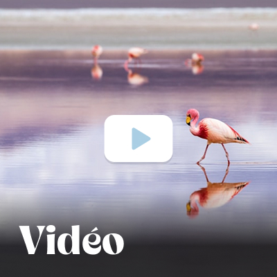 La Bolivie en vidéo