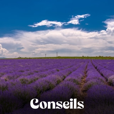 Conseils pratiques