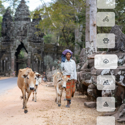 Activités et excursions