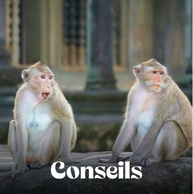 Conseils pratiques