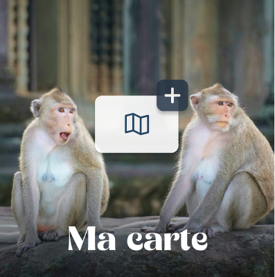 Ma carte