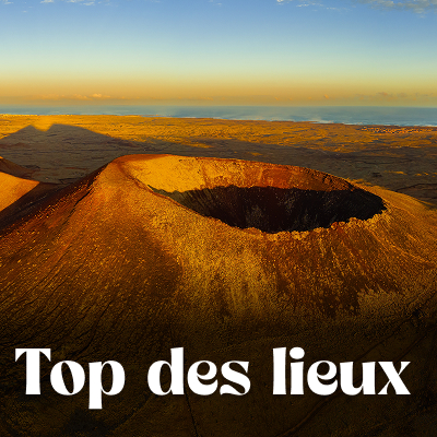 Que voir que faire ?