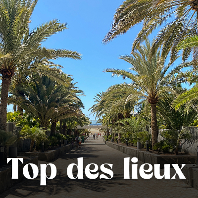 Que voir que faire ?