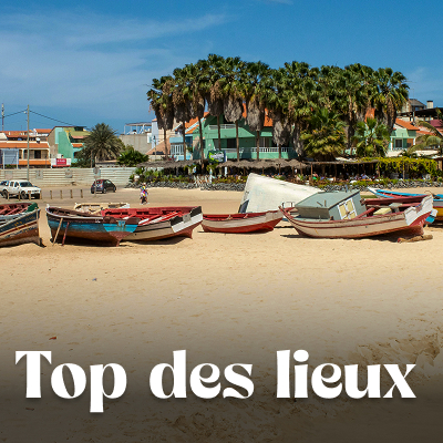 Que voir que faire ?