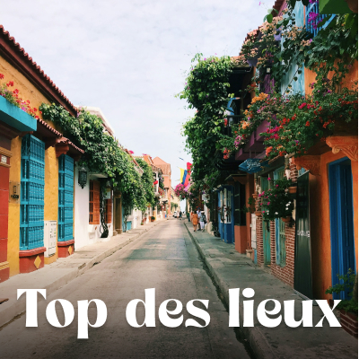 Que voir que faire ?