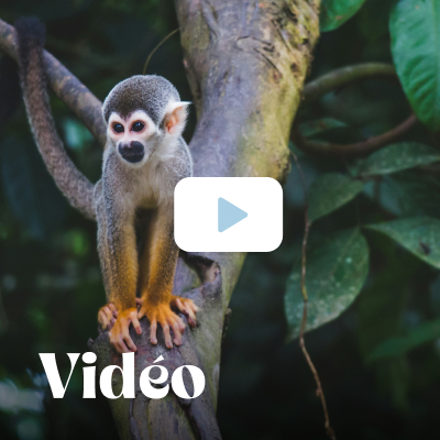 La Colombie en vidéo