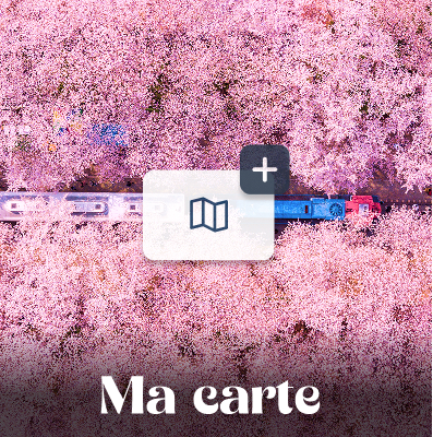 Ma carte
