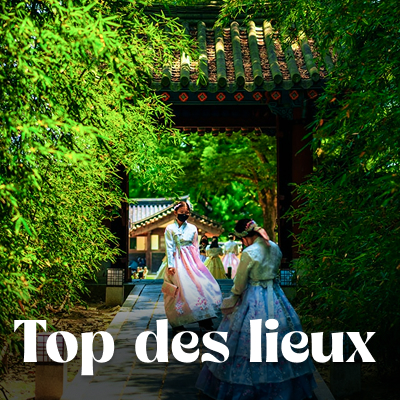 Que voir que faire ?