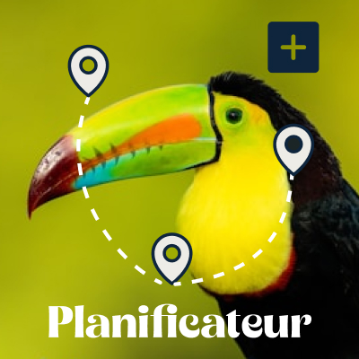 Planificateur