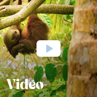 Le Costa Rica en vidéo