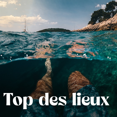 Que voir que faire ?