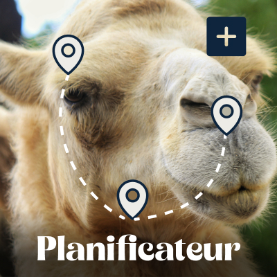 Planificateur