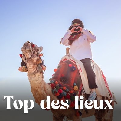 Que voir que faire ?