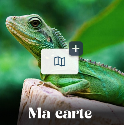 Ma carte