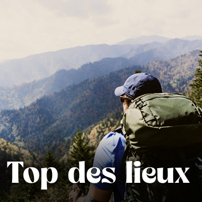 Que voir que faire ?