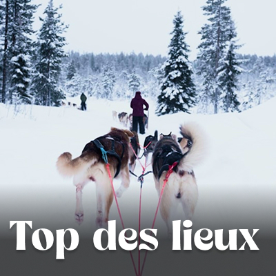 Que voir que faire ?