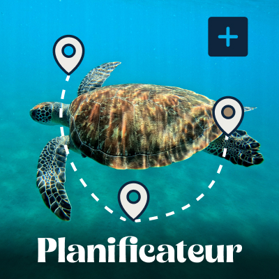 Planificateur