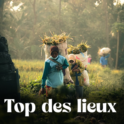 Que voir que faire ?