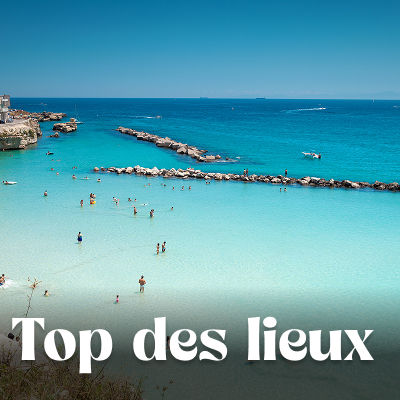 Que voir que faire ?