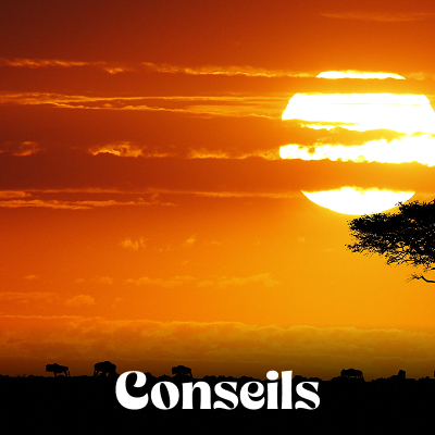 Conseils pratiques