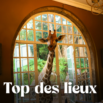 Que voir que faire ?