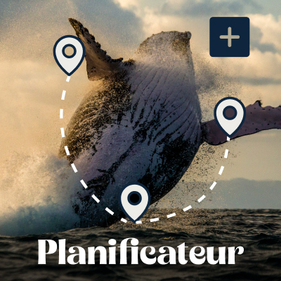 Planificateur