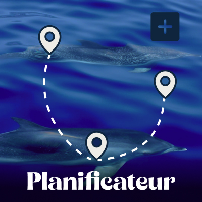 Planificateur