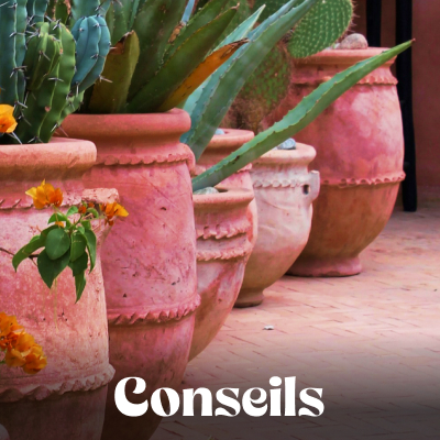 Conseils pratiques