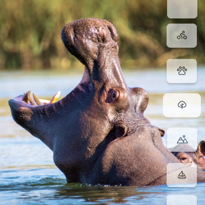 Activités et excursions