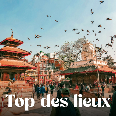 Que voir que faire ?