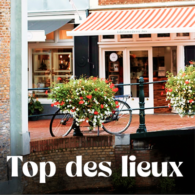 Que voir que faire ?