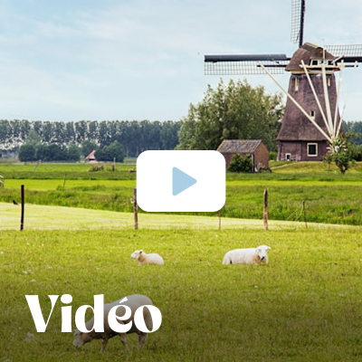 Les Pays-Bas en vidéo