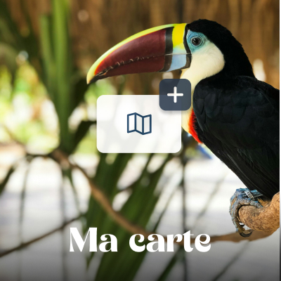 Ma carte