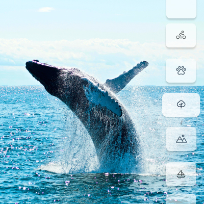 Activités et excursions