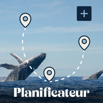 Planificateur