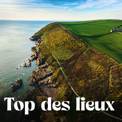 Que voir que faire ?