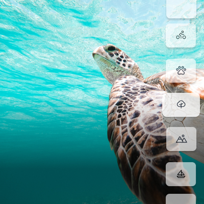 Activités et excursions