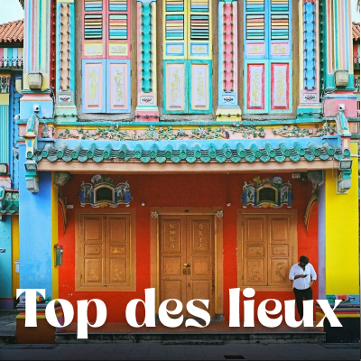 Que voir que faire ?