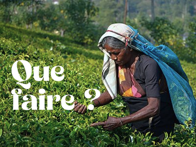 Activités et excursions