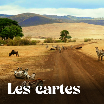 Cartes Tanzanie