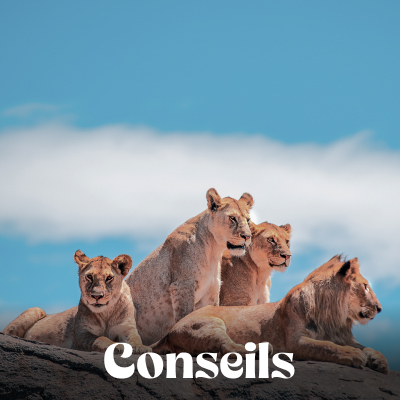 Conseils pratiques
