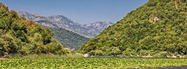 Agence Breathe in Travel