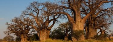 sejour organisé