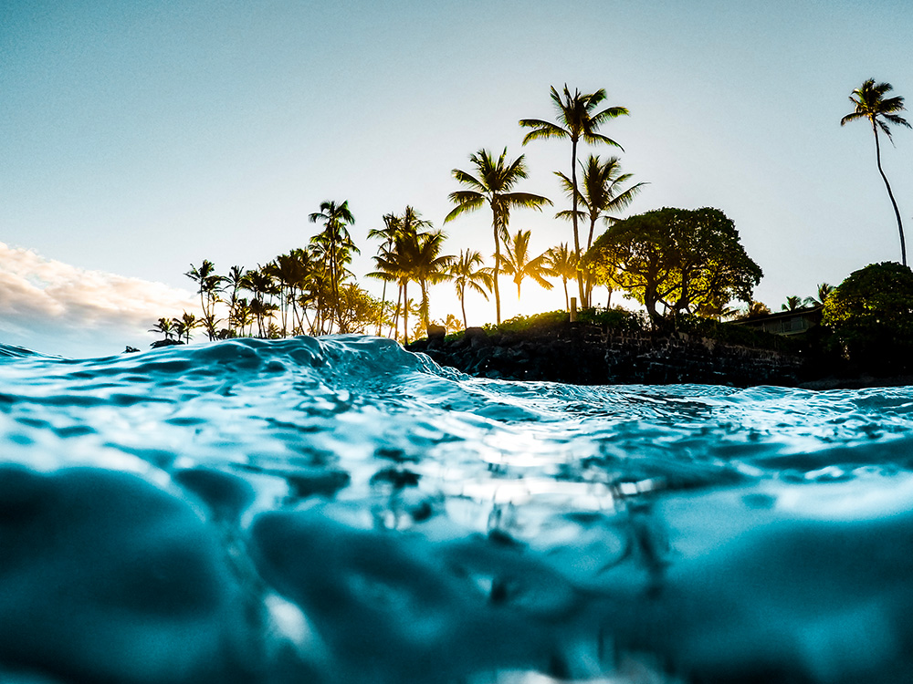 Agence Clémentine in Hawaii