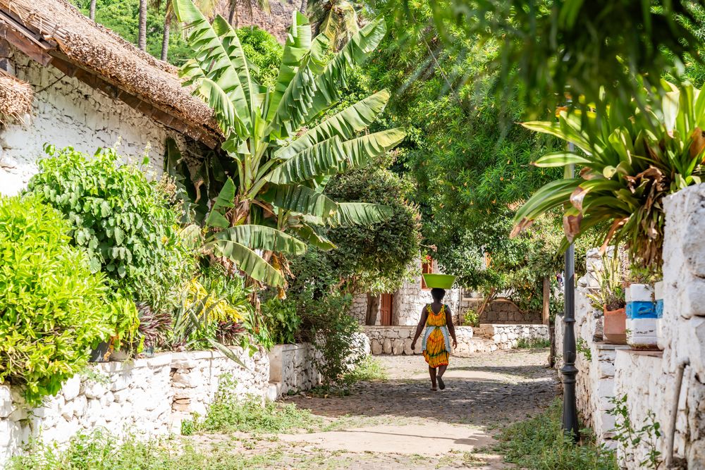 Agence Comptoir des Voyages