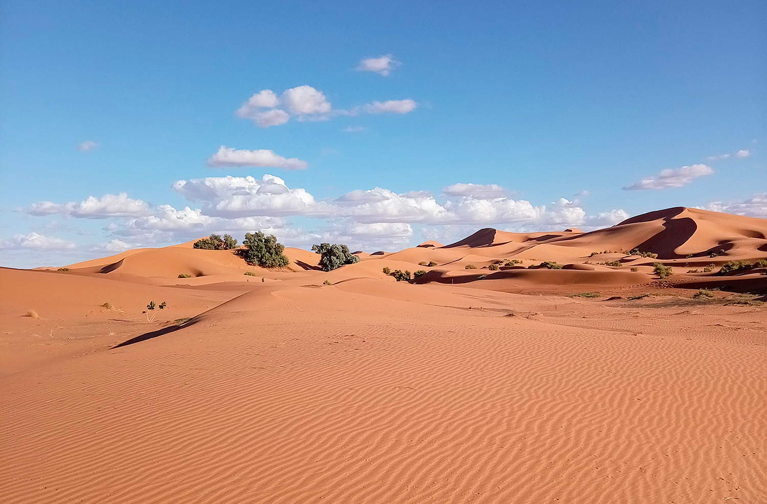 Agence Désert Sans Frontières